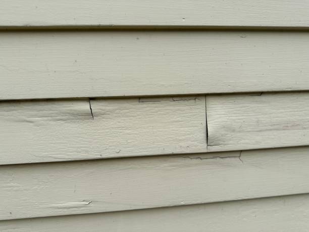 Best Brick Veneer Siding  in Biscoe, NC