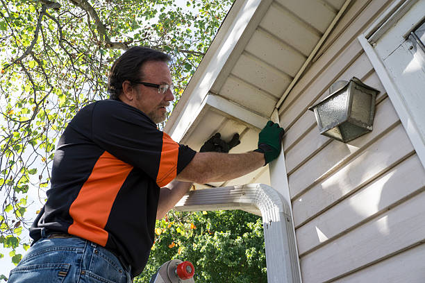 Best Historical Building Siding Restoration  in Biscoe, NC